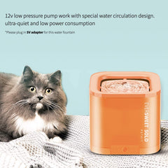 Eversweet Solo Water Fountain