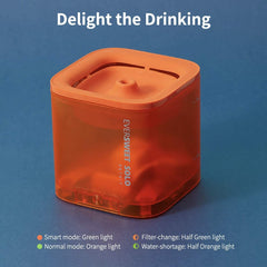 Eversweet Solo Water Fountain