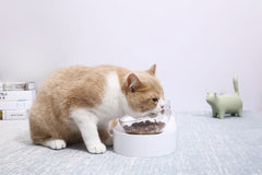 Fresh Nano Sing or Double Modern Pet Feeder