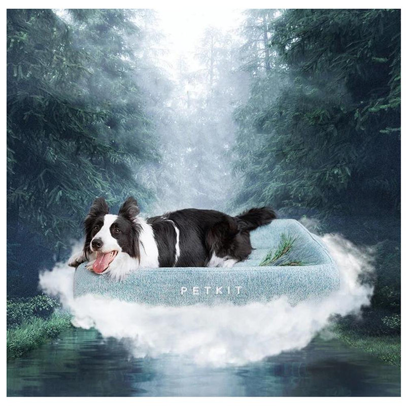 Instachew Memory Foam Deep Sleep All Season Bed for Pet, Petkit