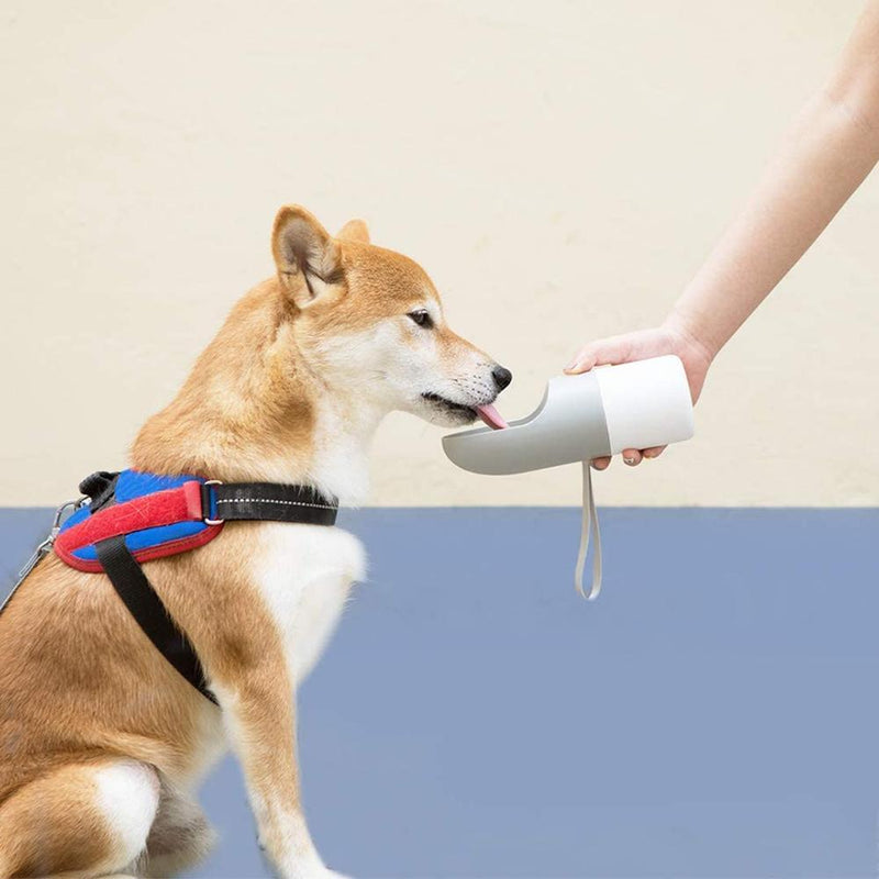 Instachew Rover Pet Travel Bottle Dog water bottle