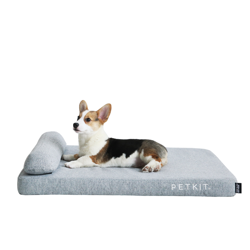 Instachew Memory Foam Deep Sleep Dog and Cat Bed