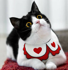 Heart Heart Cape Bandenas for Dogs Cats