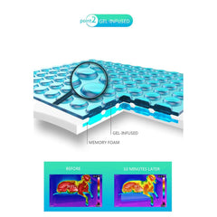 Instachew Memory Foam Reversible Cooling and Warming Pet Bed
